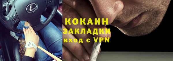 гидра Арсеньев