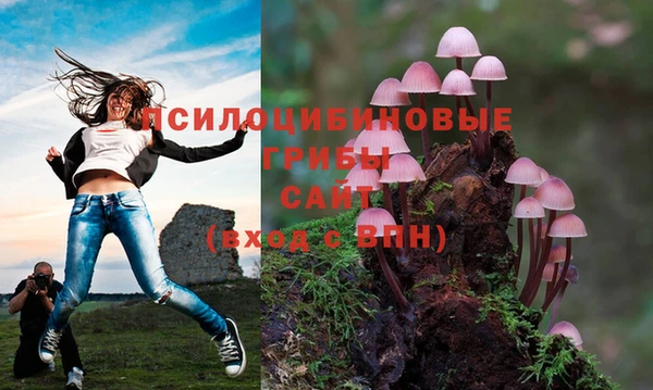 прущие крисы Армянск