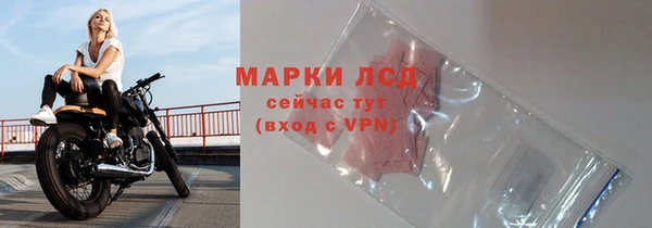 гидра Арсеньев