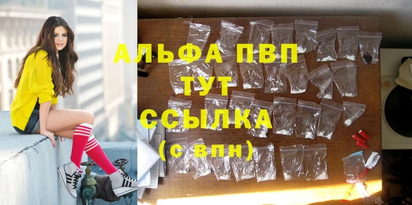гидра Арсеньев