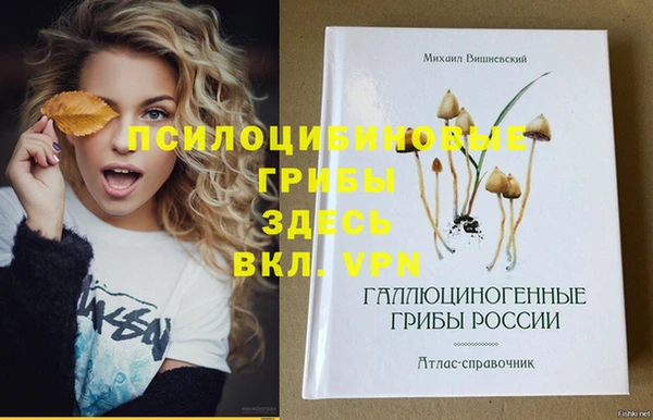 дмт Аркадак