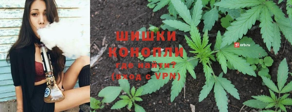 гидра Арсеньев