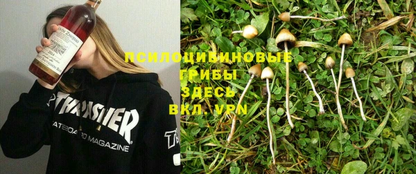 прущие крисы Армянск