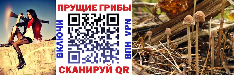 Псилоцибиновые грибы Magic Shrooms  Ликино-Дулёво 