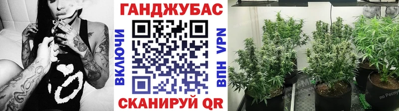 дарнет шоп  Ликино-Дулёво  Каннабис ГИДРОПОН 